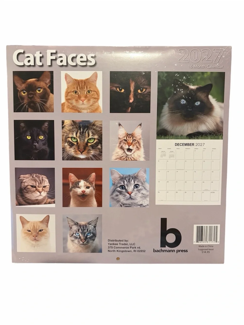 Cat Faces 2027 16 Month Cat Calendar
